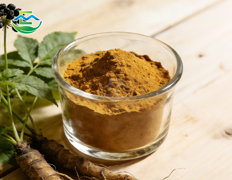 Black Cohosh Extract powdert